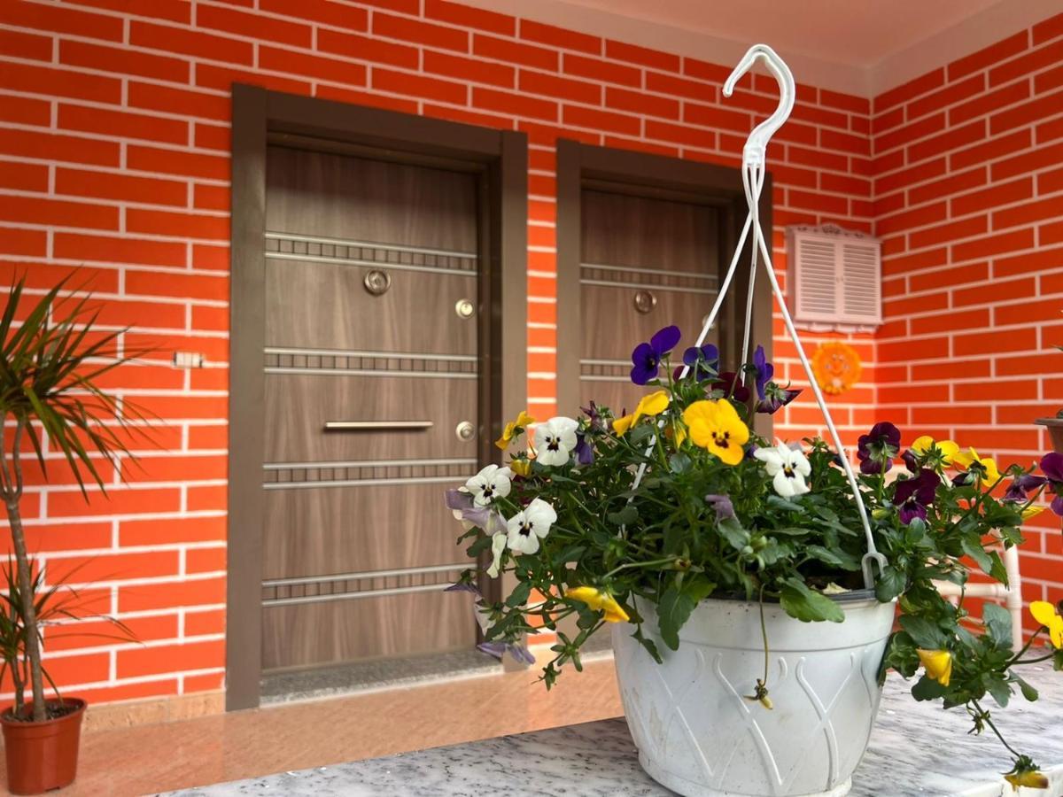 Chestnut Yard Villa Tirana Buitenkant foto